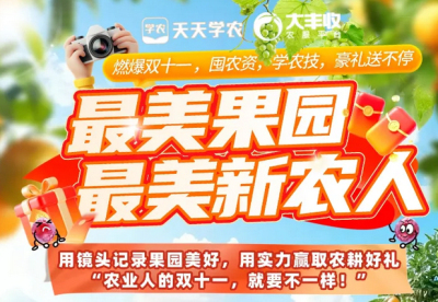 丰农控股2025年 &ldquo;最美果园&rdquo;&ldquo;最美新农人&rdquo; 评选活动启动，助力农业风采展示