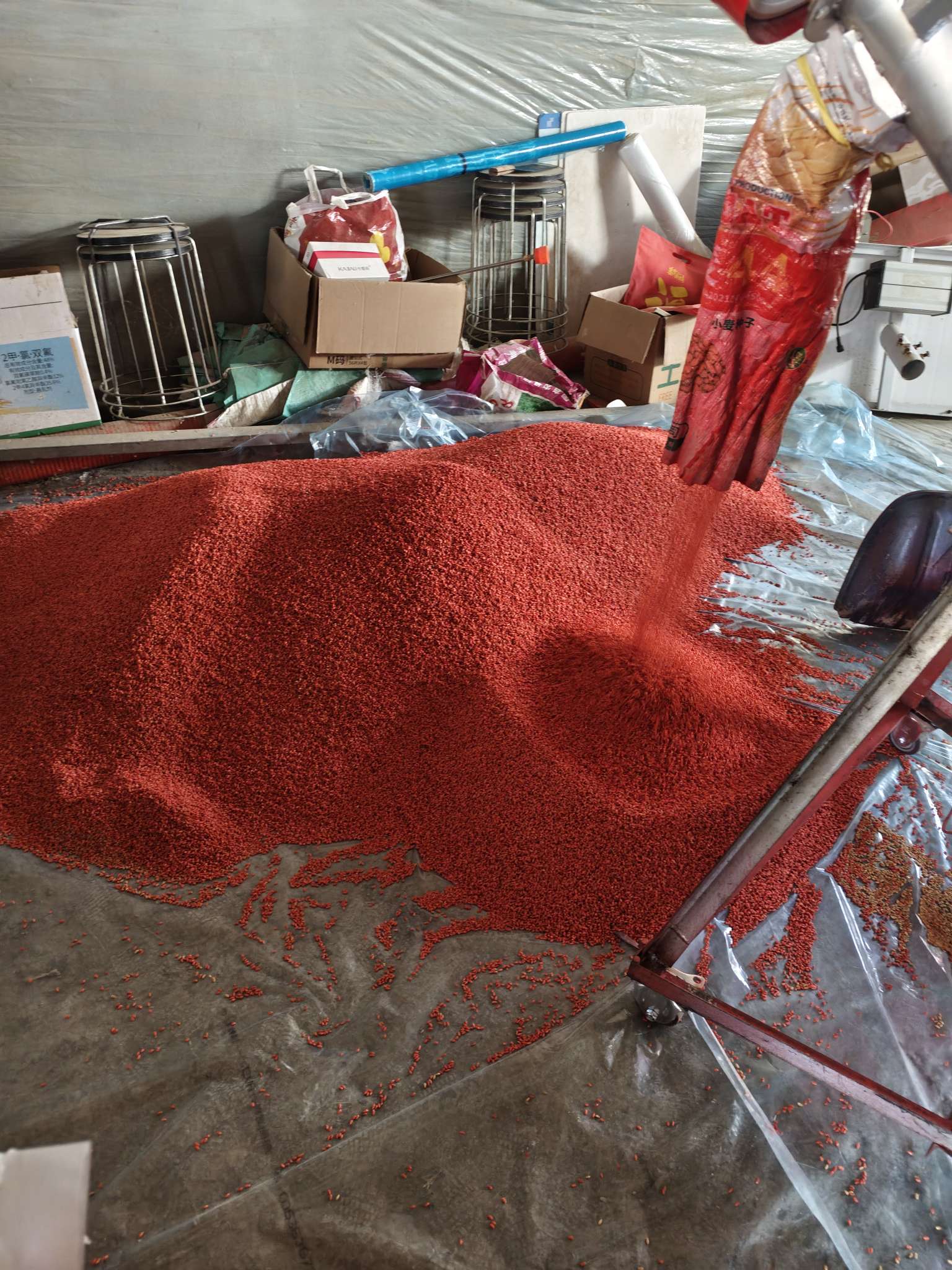 四冠包衣拌种，防虫防病壮苗增产。