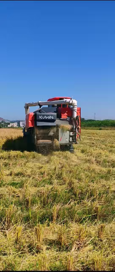 惠州基地，无人拖拉机收水稻了。