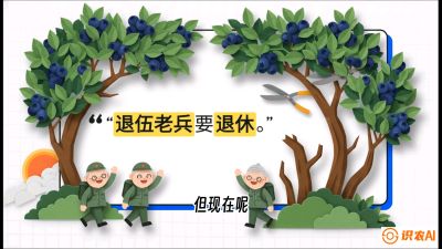 第7节：修剪决定产量（下）&mdash;&mdash;结果树的更新与疏果，课程：《蓝莓&ldquo;高产&rdquo;实战课：从选苗到丰收的10个关键点》