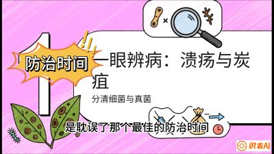 第三节：细菌与真菌&mdash;&mdash;溃疡病与炭疽病，课程：《柑橘十大病虫害：从入门到精通》