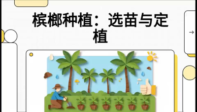 第01节：选苗与定植&mdash;&mdash;&ldquo;苗好一半收，底肥定千秋&rdquo;课程：《槟榔种植：从不懂到精通的10堂必修课》