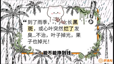 第05节：常见真菌病害&mdash;&mdash;&ldquo;炭疽与烂心，早防值千金&rdquo;《槟榔种植：从不懂到精通的10堂必修课》