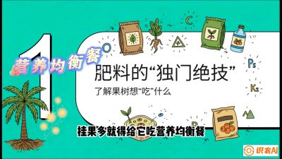 第07节：科学施肥&mdash;&mdash;&ldquo;氮磷钾配好，树壮果不倒