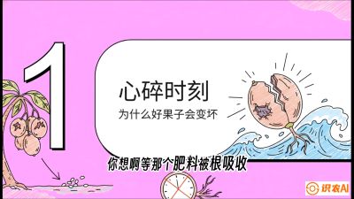 第08节：微量元素与保果&mdash;&mdash;&ldquo;补硼又补钙，果子不裂坏&rdquo;《槟榔种植：从不懂到精通的10堂必修课》