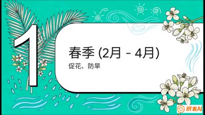 第10节：周年农事日历&mdash;&mdash;&ldquo;跟着节气走，丰产在手头&rdquo;《槟榔种植：从不懂到精通的10堂必修课》