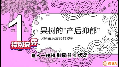 第2节：【冬肥策略】采后&ldquo;月子肥&rdquo;：大小年的精准干预术，课程：《柑橘底肥&ldquo;翻身账&rdquo;：从改土到高产的实战全书》
