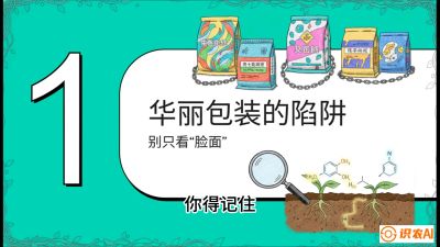 第4节：【黄金配方】底肥里的&ldquo;铁三角&rdquo;与&ldquo;微量雷区&rdquo;课程：《柑橘底肥&ldquo;翻身账&rdquo;：从改土到高产的实战全书》