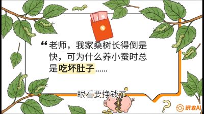 第01节：不仅仅是树&mdash;&mdash;顶级品种选配策略，课程：《桑海淘金：桑树高产与蚕桑安全进阶实战课》