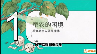 第06节：虫口夺叶（上）&mdash;&mdash;物理与生物防控绝技，课程《桑海淘金：桑树高产与蚕桑安全进阶实战课》