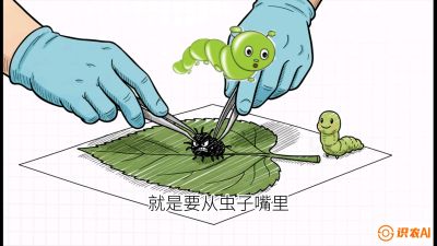 第07节：虫口夺叶（下）&mdash;&mdash;不得不打药时的&ldquo;解毒术&rdquo;，课程：《桑海淘金：桑树高产与蚕桑安全进阶实战课》