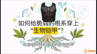 第三节：国产榴莲突围战：根系堡垒，菌根微生态构建与黄金定植窗口，课程：《国产榴莲突围战：从泰国经验到中国实操的8堂必修课（高阶实战版）》
