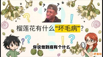 第六节：榴莲的午夜战事，夜间授粉战与花果期避雨策略，课程：《国产榴莲突围战：从泰国经验到中国实操的8堂必修课（高阶实战版）》