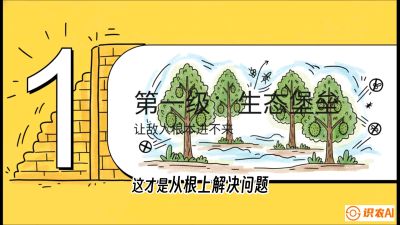 第七节：榴莲防御战：病虫害三级立体防控，疫霉菌与虫害的立体封锁线，课程：《国产榴莲突围战：从泰国经验到中国实操的8堂必修课（高阶实战版）》