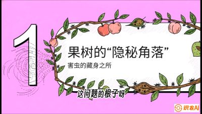第3节：无人机专治&ldquo;打不透&rdquo;&mdash;&mdash;果树与高杆作物的穿透技巧，课程：《无人机植保搞钱必修课：从&ldquo;瞎飞&rdquo;到&ldquo;懂行&rdquo;的6步进阶》