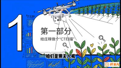 第5节：无人机也能&ldquo;看病抓药&rdquo;&mdash;&mdash;处方图与变量施肥入门，课程：《无人机植保搞钱必修课：从&ldquo;瞎飞&rdquo;到&ldquo;懂行&rdquo;的6步进阶》