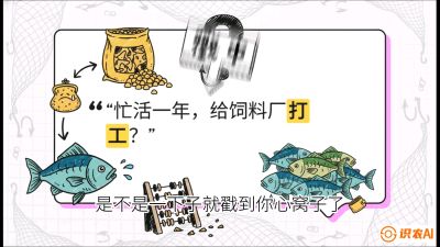 第一节：【选品与规划】如果不养&ldquo;四大家鱼&rdquo;，我们还能养什么？,课程：《黄金鳞甲：2025中国淡水鱼高效养殖实战营》