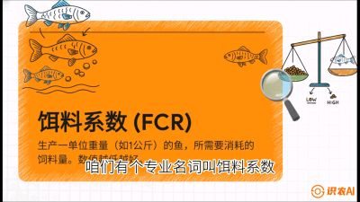 第五节：【高端单品&middot;鳜鱼】&ldquo;饲料鳜&rdquo;技术：打破吃活饵的高成本魔咒，课程：《黄金鳞甲：2025中国淡水鱼高效养殖实战营》
