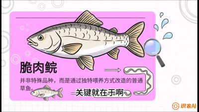 第六节：【老品升级&middot;脆肉鲩】如何让草鱼身价翻倍？，课程：《黄金鳞甲：2025中国淡水鱼高效养殖实战营》