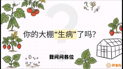 第2节（解毒篇）： 大棚里的&ldquo;红白绿&rdquo;警报&mdash;&mdash;读懂土壤盐渍化的求救信号，课程：《揭秘土壤的秘密：让土地帮你赚钱》#识农AI