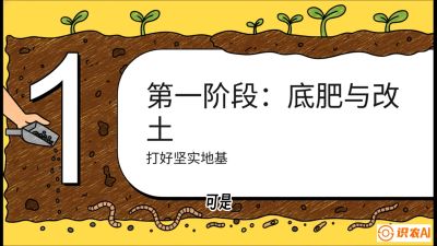 第6节（统筹篇）： 省钱又增产的&ldquo;黄金配比&rdquo;&mdash;&mdash;不同作物全年的养土实操方案，课程：《揭秘土壤的秘密：让土地帮你赚钱》#识农AI