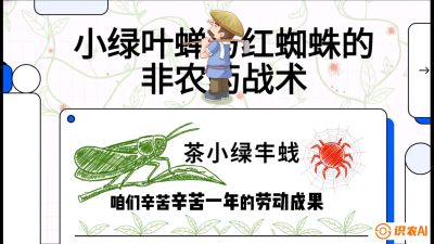 第03节（虫害篇）：看不见的吸血鬼：小绿叶蝉与红蜘蛛的&ldquo;非农药&rdquo;团灭战术（抗性治理），课程：《茶金时代：从&ldquo;看天吃饭&rdquo;到&ldquo;精准控局&rdquo;的茶叶高产提质实战课》