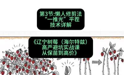 第三节： 懒人修剪法&mdash;&mdash;&ldquo;一推光&rdquo;平茬技术详解，课程：《辽宁树莓（海尔特兹）高产避坑实战课：从保苗到高价》