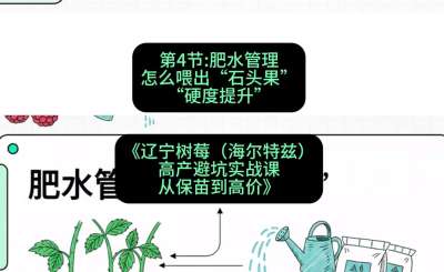 第四节： 肥水管理&mdash;&mdash;怎么喂出&ldquo;石头果&rdquo;（硬度提升），课程：《辽宁树莓（海尔特兹）高产避坑实战课：从保苗到高价》