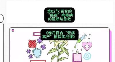 第02节：百合的&ldquo;癌症&rdquo;&mdash;&mdash;病毒病的阻断与急救，课程：《卷丹百合&ldquo;无病高产&rdquo;植保实战课》#识农AI