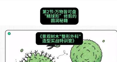 第02节：万物皆可盘&mdash;&mdash;&ldquo;精球形&rdquo;修剪的圆润秘籍，课程：《景观树木&ldquo;整形外科&rdquo;造型实战特训营》#识农AI