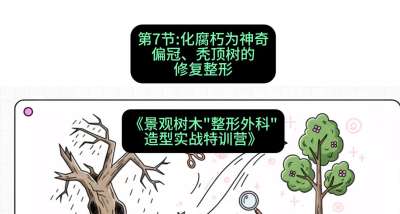 第07节：化腐朽为神奇&mdash;&mdash;偏冠、秃顶树的修复整形，课程：《景观树木&ldquo;整形外科&rdquo;造型实战特训营》#识农AI