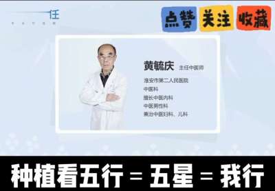 中药材淫羊藿怎么种？听专家一次讲明白！不挑地块好管理，耐寒耐旱省心省力，新手也能轻松上手，药用价值高、市场需求稳，妥妥的增收好品种～ 从生长习性到采收要点，干货满满无废话，种植疑问直接问，一对一答疑解