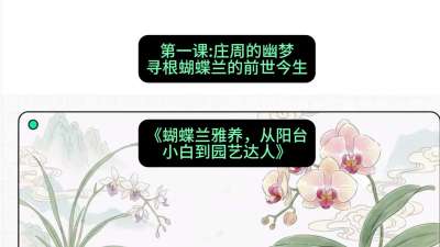 第一节：庄周的幽梦：寻根蝴蝶兰的前世今生，课程：《蝴蝶兰雅养六讲：从阳台小白到园艺达人》#识农AI