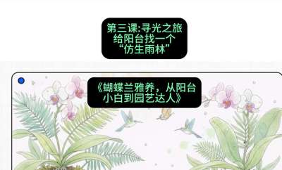 第三节：寻光之旅：给阳台找一个&ldquo;仿生雨林&rdquo;，课程：《蝴蝶兰雅养六讲：从阳台小白到园艺达人》#识农AI