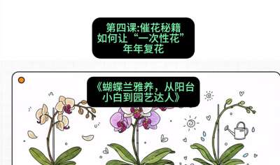 第四节：催花秘籍：如何让&ldquo;一次性花&rdquo;年年复花，课程：《蝴蝶兰雅养六讲：从阳台小白到园艺达人》#识农AI
