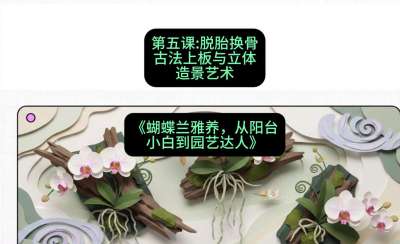 第五节：脱胎换骨：古法上板与立体造景艺术，课程：《蝴蝶兰雅养六讲：从阳台小白到园艺达人》#识农AI
