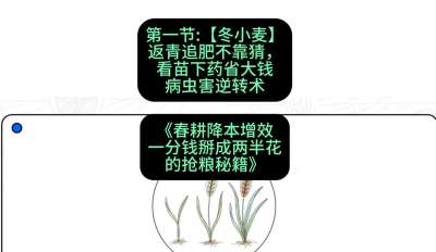第一节：【冬小麦】返青追肥不靠猜，看苗下药省大钱
