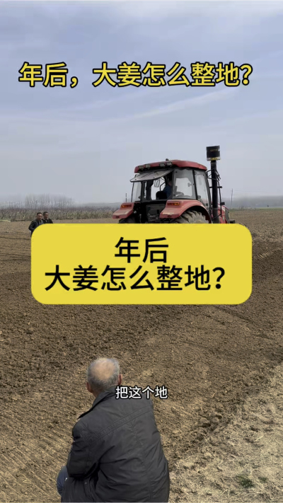 年后，大姜怎么整地？