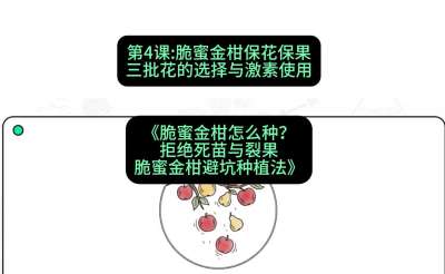 第4节：脆蜜金柑保花保果：三批花的选择与激素使用，课程：《脆蜜金柑怎么种？拒绝死苗与裂果，脆蜜金柑8步避坑种植法》#识农AI