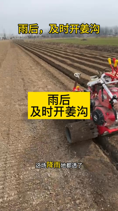 雨后，及时开姜沟！
