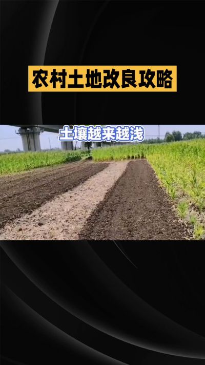 1. 先搞懂：你到底要改良哪块地、种什么
 
- 土土土在哪里？
就是你自家农田、菜地、果园，哪块地想种庄稼，就测哪块地的土。
​
- 有水没有水？
有水能浇：改良更省事，施肥、调酸碱都好操作。
没水