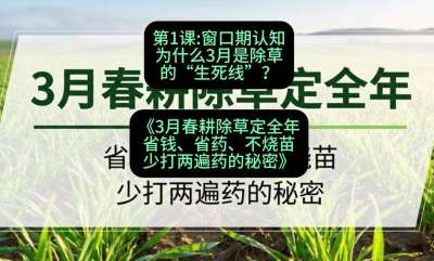 第1节：窗口期认知，为什么3月是除草的&ldquo;生死线&rdquo;？，课程：《3月春耕除草定全年：省钱、省药、不烧苗、少打两遍药的秘密》