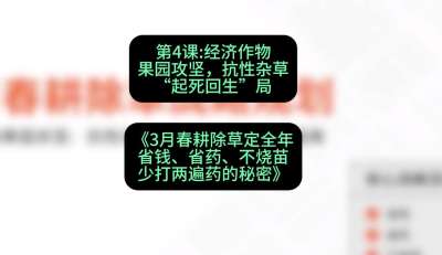 第4节：经济作物果园攻坚，抗性杂草&ldquo;起死回生&rdquo;局，课程：《3月春耕除草定全年：省钱、省药、不烧苗、少打两遍药的秘密》