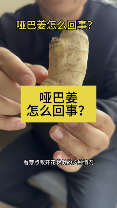 哑巴姜怎么回事？
